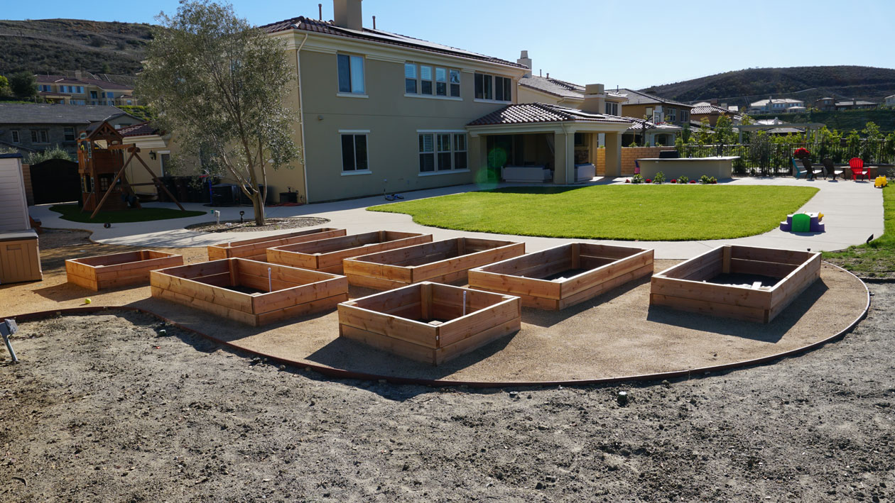 professional planting services