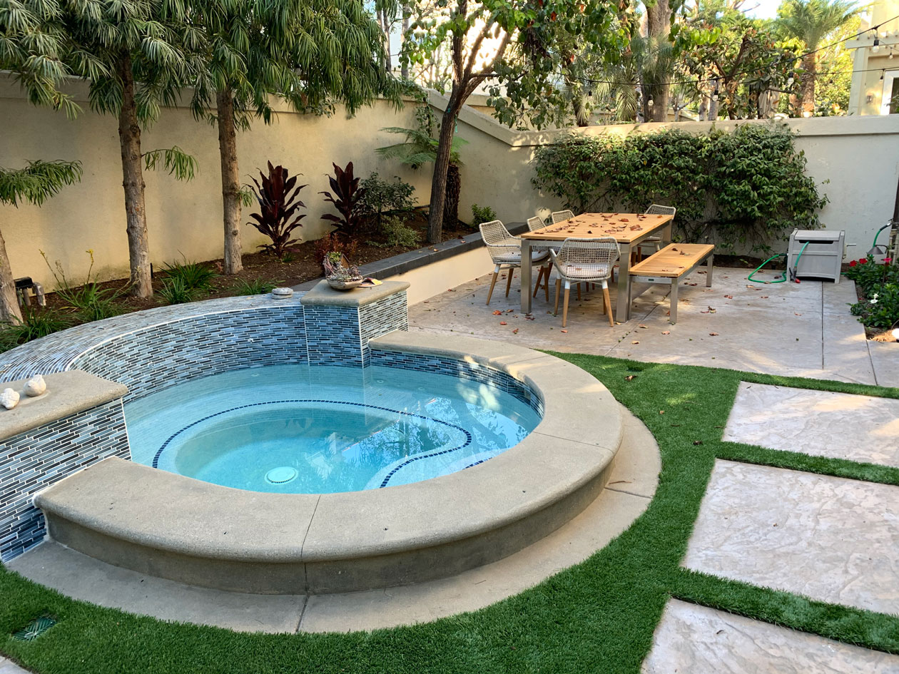 trees for privacy from neighbors
