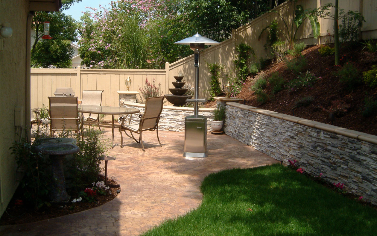 types of tall ornamental grasses