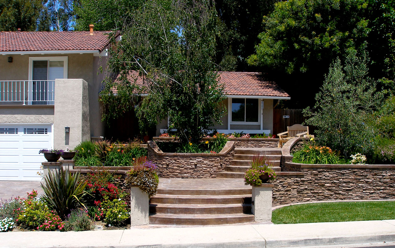 low-maintenance shrubs