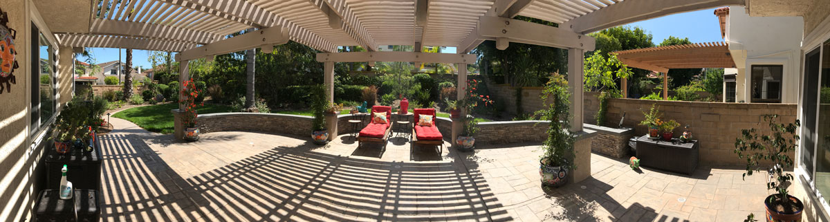 low-maintenance landscaping plants